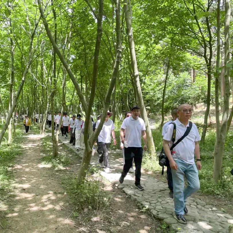 熱辣滾燙 揚帆未來——巨人集團公司團建之旅